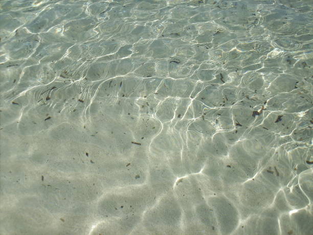 istock Ibiza and Formentera Islands. 1483495217
