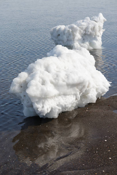 istock Lump of drift ice on sandy beach 1483495587