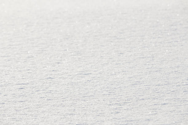Flat surface of clean, white, freshly fallen powder snow