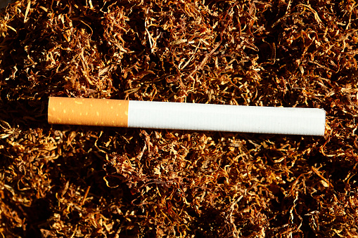 Zigarette liegt auf Tabak, Deutschland