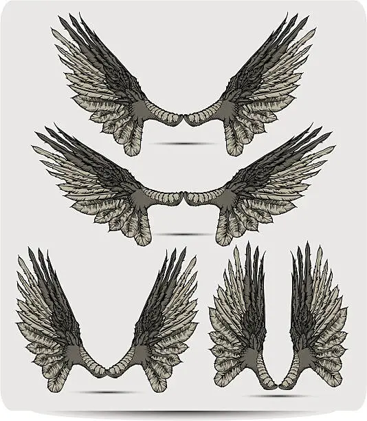 Vector illustration of Wings set the raven, hand drawing. Vector illustration.