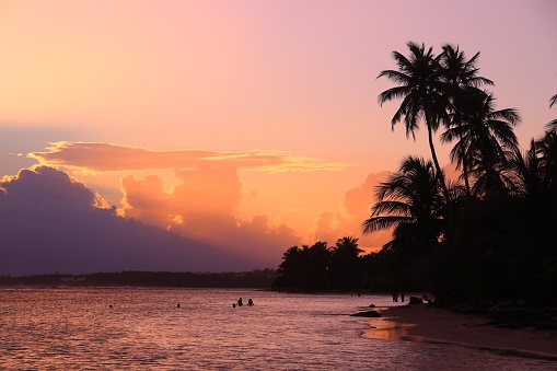 Guadeloupe beach sunset. Caribbean vacation landscape. Bois Jolan Beach (Plage de Bois Jolan).