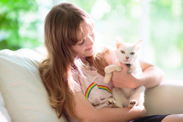 istock Child playing with kitten. Cat and kid at home. 1483500558