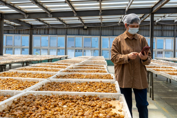 istock An Asian female technician works in a candied fruit processing factory 1483500937