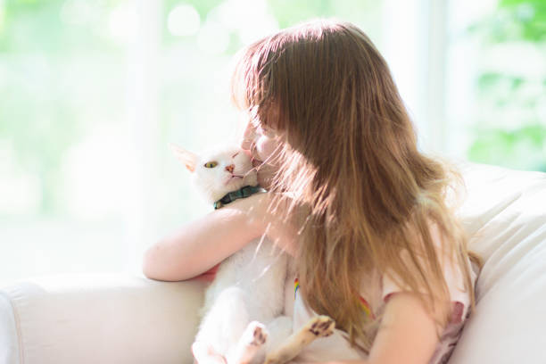 Child playing with kitten. Cat and kid at home.