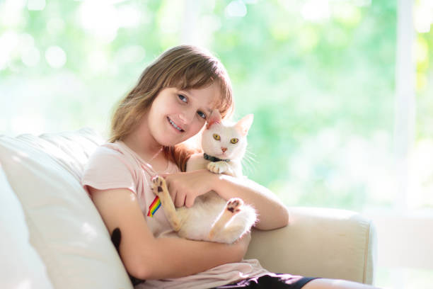 istock Child playing with kitten. Cat and kid at home. 1483501447