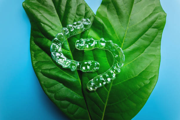 Invisible plastic braces three pieces lie on a green succulent leaf from a flower on a blue background, studio shot Invisible plastic braces three pieces lie on a green succulent leaf from a flower on a blue background, studio shot. blue and green braces stock pictures, royalty-free photos & images