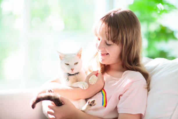 istock Child playing with kitten. Cat and kid at home. 1483501540