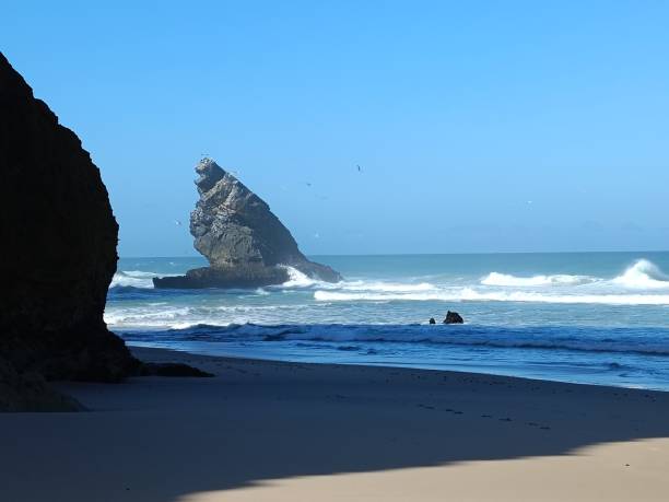 istock A Breather on the beach 1483503971