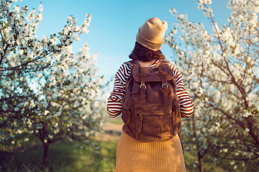 Rear view of young woman with backpack on her shoulders walking through blossoming orchard in spring.