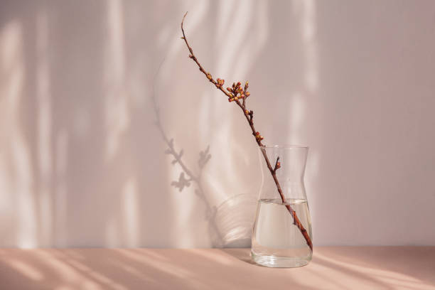 istock dry apple branch with buds in a vase 1483505411