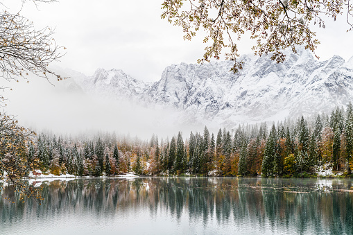 Between autumn and winter on the fusine lakes. Magic of nature. Snow on the leaves of the trees dressed in autumn