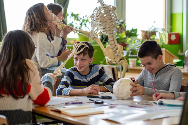istock children study human anatomy and human skeleton playing with it 1483507063