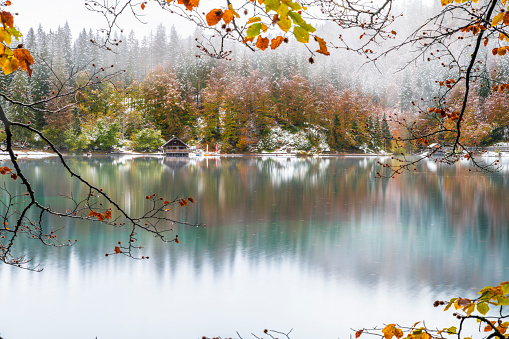 Between autumn and winter on the fusine lakes. Magic of nature. Snow on the leaves of the trees dressed in autumn