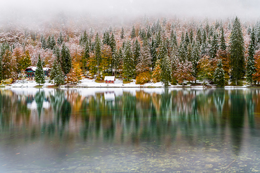 Between autumn and winter on the fusine lakes. Magic of nature. Snow on the leaves of the trees dressed in autumn
