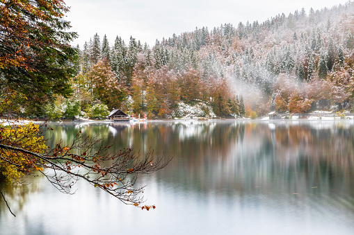 Between autumn and winter on the fusine lakes. Magic of nature. Snow on the leaves of the trees dressed in autumn