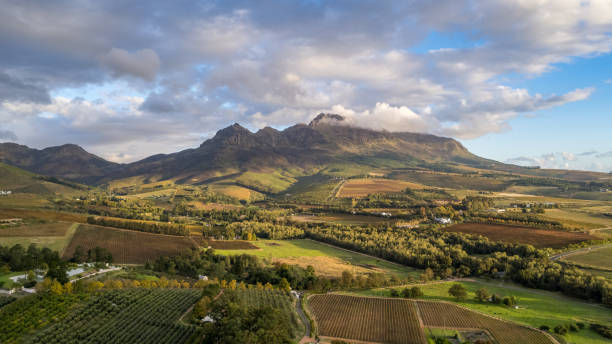 le cape winelands - provincia del capo occidentale foto e immagini stock