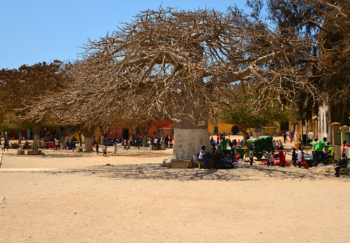 Gorée Island, Dakar, Senegal: Government Square / Palace Square - paved with sand and with large baobab trees providing shade. No cars in the square and in the whole island.