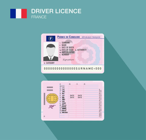 French car driver license identification icon. France. French car driver license identification. Flat vector illustration template. France. rhone alpes stock illustrations