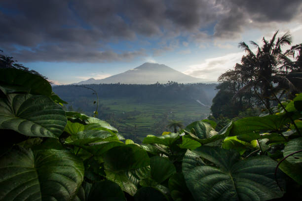 istock Mountain Landscape in Bali 1483519187