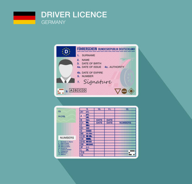 German car driver license identification icon. Germany. German car driver license identification. Flat vector illustration. Germany. German ID Card stock illustrations