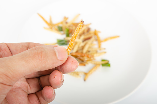 Fried bamboo worms are the protein source of the future.
