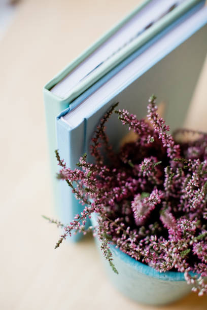 Heather in flowerpot and blue books on a light background