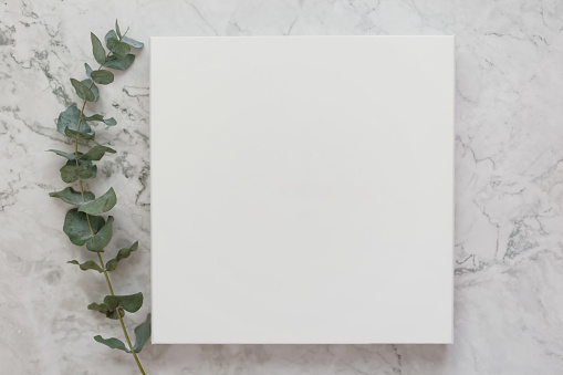 White cover book with copy space on a marble background and eucalyptus twig
