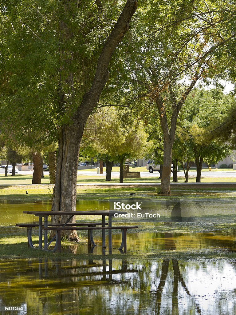 Entra área para Picnic, Monsoon en Phoenix, Arizona - Foto de stock de Parque público libre de derechos