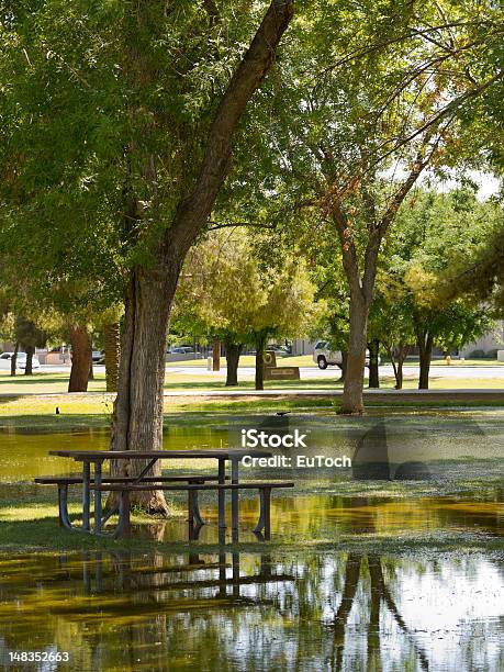 Entra Área Para Picnic Monsoon En Phoenix Arizona Foto de stock y más banco de imágenes de Parque público