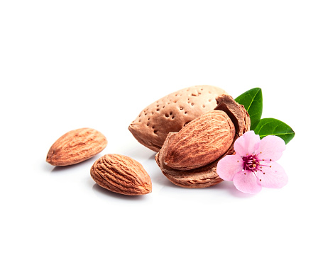 Almonds nuts with flower on white backgrounds.Healthy food ingredient.