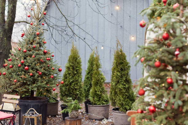 istock Christmas tree with red decorations outdoors 1483531107