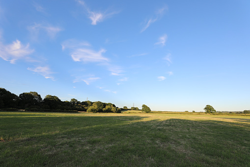 A beautiful landscape in nature with a well-trimmed field of grass and bushy green trees under a bright sky
