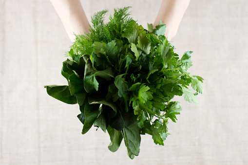 Top view of bunch fresh herbs in the hands over sackcloth background