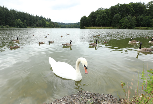 Beautiful summer walk in Shearwater