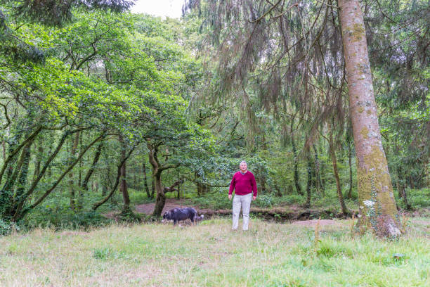 istock Senior Caucasian man in woodland 1483545691