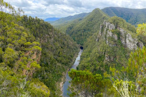 istock Tasmania scenery in Australia 1483545786