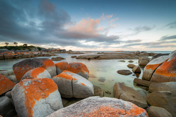 istock Tasmania scenery in Australia 1483546629