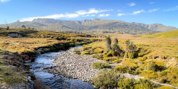 istock Cradle Mountain National Park in Tasmania, Australia 1483547659