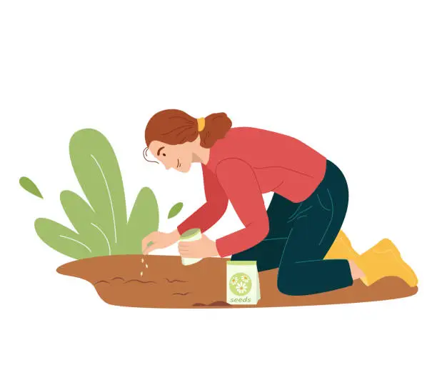 Vector illustration of Cute young woman sowing seeds of flowers in the garden in the spring. Female gardener grows plant. Vector illustration in flat style isolated on white