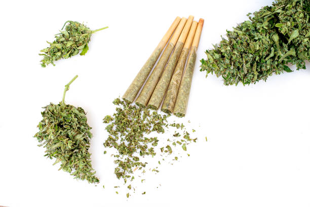 Pre-Roll marijuana joint with cannabis buds on the white background Pre-Roll marijuana joint with cannabis buds on the white background blunts stock pictures, royalty-free photos & images