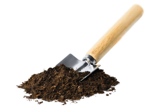 istock garden shovel and soil 1483559465