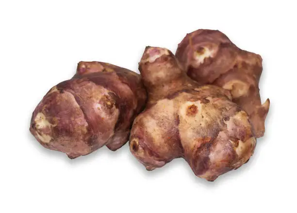 Jerusalem artichoke isolated on a white background with clipping path.