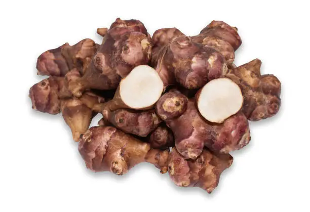 Jerusalem artichoke isolated on a white background with clipping path.