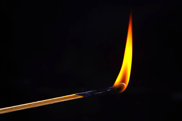 istock Burning wood match on a dark background close-up. burning tree fire 1483574293