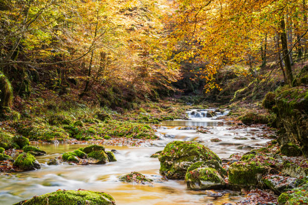 istock Arzino waterfalls in winter guise. 1483575961
