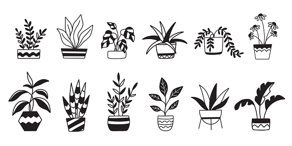 Interior flowers in pot. Indoor Home plants vector illustration set. Potted houseplant, hand drawing. Trendy decor doodle sketch botanical isolated elements collection. Gardening concept.