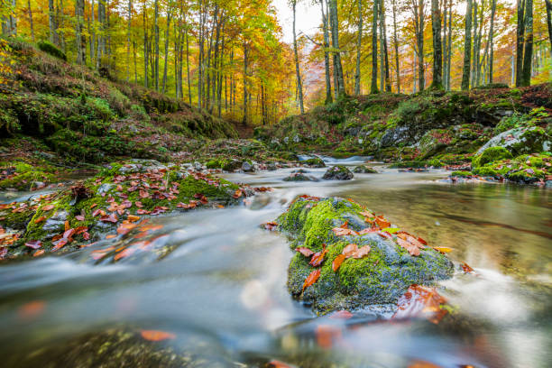 istock Arzino waterfalls in winter guise. 1483577201