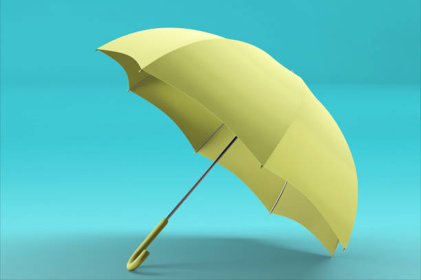 istock 3d rendering umbrella front and top view. realistic mockup of blank parasol with wooden handle, classic accessory for rain protection in spring, autumn or monsoon season 1483586807