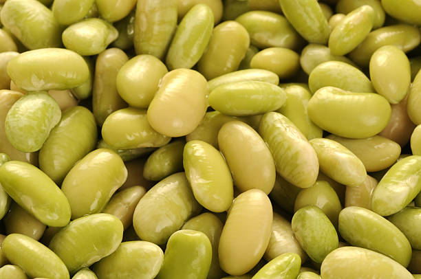 콩 - flageolet bean 뉴스 사진 이미지